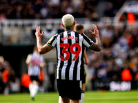 Newcastle United v Sheffield United - Premier League