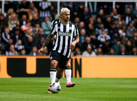 Newcastle United v Sheffield United - Premier League
